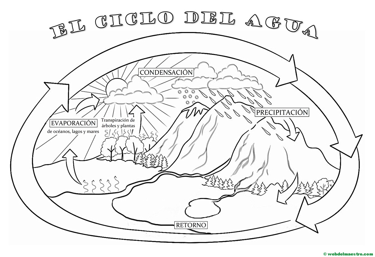 El Ciclo Del Agua Primaria Web Del Maestro