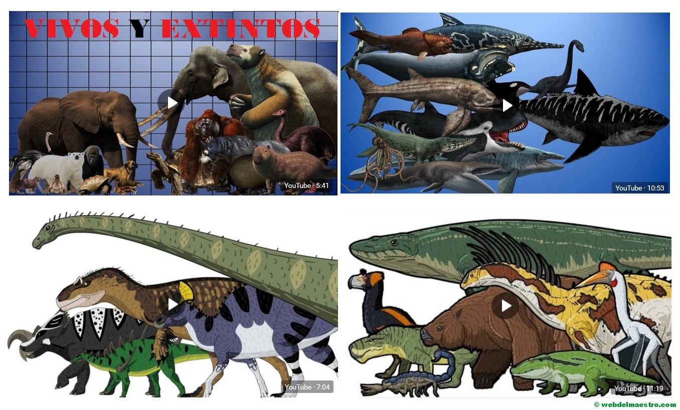 Comparación de los animales por tamaños