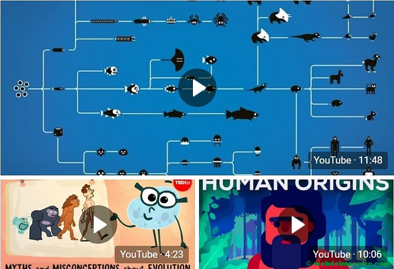 Vídeos educativos sobre la teoría de la evolución